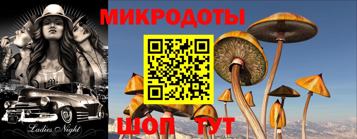 Галлюциногенные грибы GOLDEN TEACHER  Вход с VPN  Медногорск 