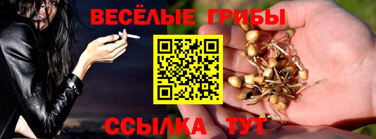 Псилоцибиновые грибы Cubensis Медногорск